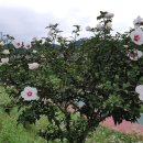 모듬내길 이미지