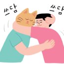 아이비포레스트화원