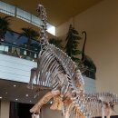 어등재활원 이미지