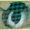 키즈위즈유치원 이미지