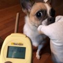 호텔 퀸 | 중국 칭다오 호텔 - 칭다오 하우징 인터네셔널 호텔 스탠다드 퀸 내돈내산 후기 (비추천)