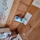 오늘의 방역 이미지