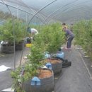 돈마니마니 이미지