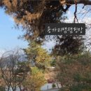 용가리쌤 야영장 이미지