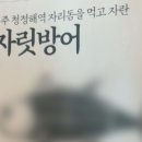 일본산 방어 '국내산' 둔갑. 4.6톤 횟감으로.. 이미지