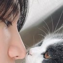 V-6 이미지