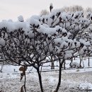 유튜브/WCC.WEA 기독교가 되어 버린 한국교회(부제:안식일과주의 날) 이미지