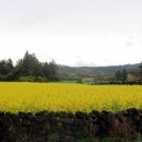 주상절리횟집 이미지