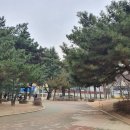 화랑공원 배드민턴장