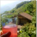 산골산장민박 이미지