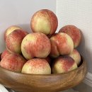 금마우체국 | [프레델] 여름의 시작, 프레델 신비복숭아 예약 주문 내돈내산 솔직 후기