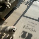 개린이살롱 이미지