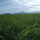 개운중학교 이미지