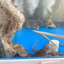 오거리회포차 이미지