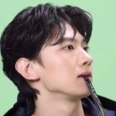 에코레비