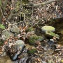 연곡면사무소(버스정류장) 이미지