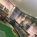 광장스크린골프 이미지