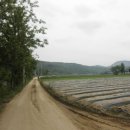 양수마을회관 이미지