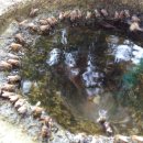 와동농장 이미지