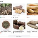 용시삼거리 앞 버스승강장 | 오사카에서 소니고원 가는 법 | 뚜벅이, 킨테츠 특급, 버스, 5월, 비수기, 여름