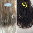 골드핸즈헤어 마산플랜점 | [골드핸즈헤어 마산플랜점 / 마산빌드펌 / 회원동미용실] 이런 손상모에 빌드펌이 가능하다고?😳 실화...