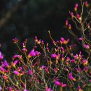 아름따다 이미지