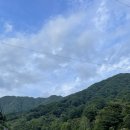 바우내민박 이미지