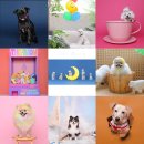 더줌스튜디오