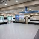 경희대태권도 이미지