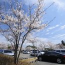 풍경화꽃식물원 이미지