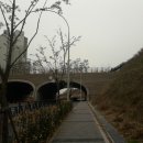 도장근린공원