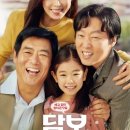 최신영화 담보 상영 이미지