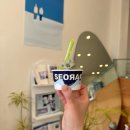 중앙초교 앞 | 속초디저트 설악젤라또 메밀 오징어먹물 초당옥수수 설향딸기 아이스크림 내돈내산 후기