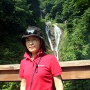 폭포약수 Daum카페