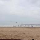 훈이유통 이미지