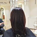 희철 | 응암역 미용실 디얼스 이마트은평점 희철 점장님 레이어드컷 후기