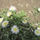 낙안농장 이미지