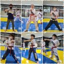 경희대MTA태권도 이미지