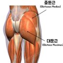 짐투짐 여성전용 PT 이미지