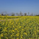 삽교호 호수공원 파크골프장 이미지