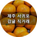 장수농원 이미지
