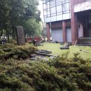 제주대학교박물관 이미지