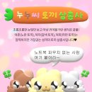 블루아이즈캣 이미지