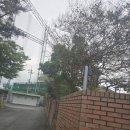 태호 골프연습장 이미지