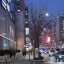 하늘안경콘택트 이미지