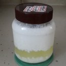 티벳버섯 첫 배양 이미지