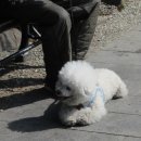 바람고개 체육시설 이미지