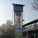 수원 하나로마트 모종 행사 꽃시장 쇼핑 후기 &amp; 시기별 모종