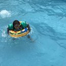 서지농원 이미지