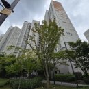 디엠씨경기 이미지